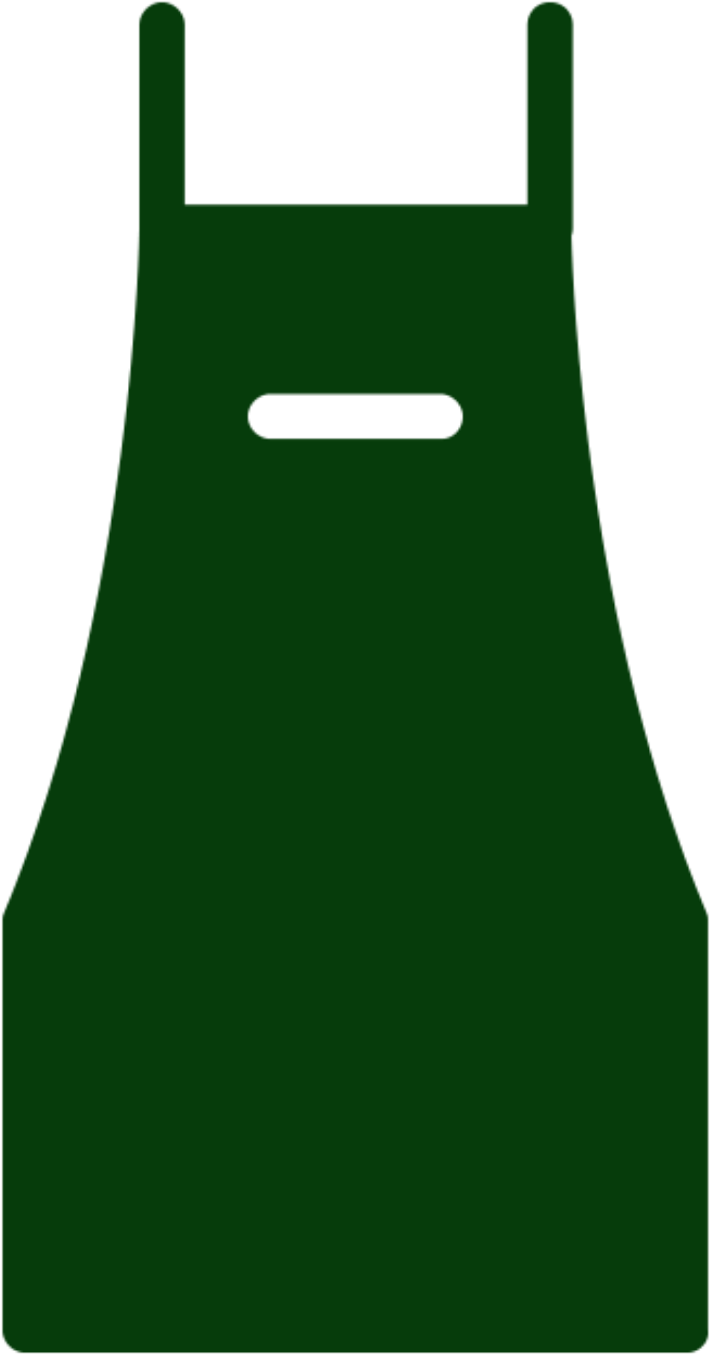 chef apron green icon